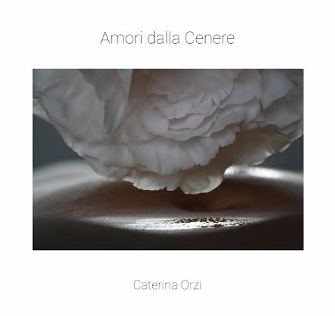 Caterina Orzi - Amori dalla Cenere